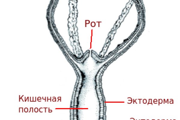 Что за приложение кракен