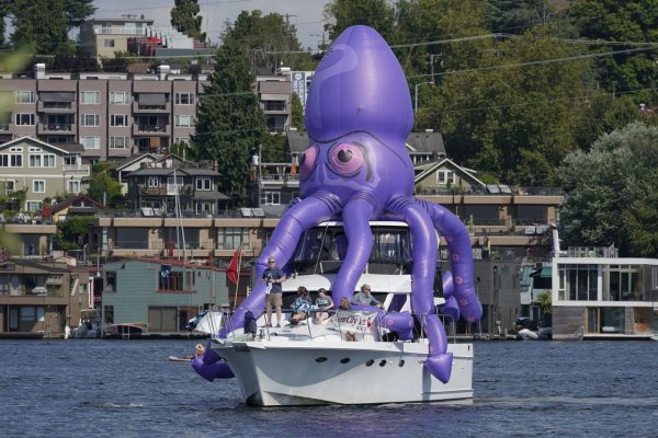 Kraken 19 at сайт