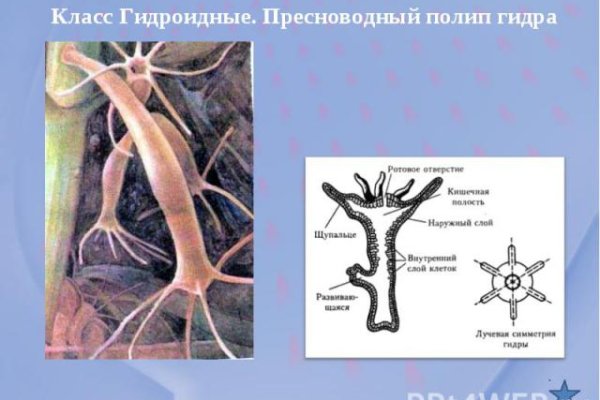 Ссылки на кракен мегу