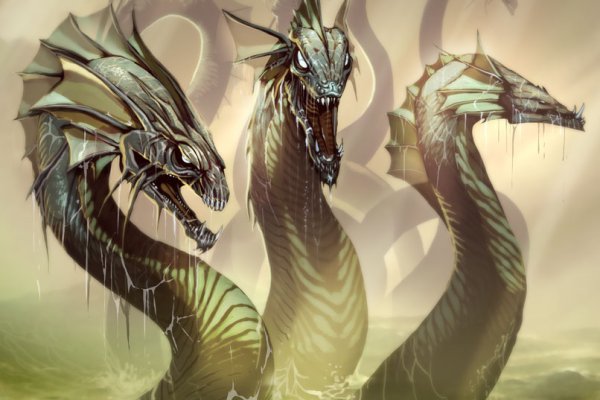 Kraken площадка