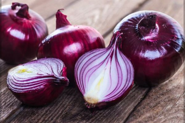 Kraken рабочее зеркало onion