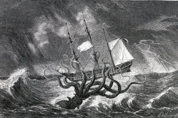 Kraken 17 at net