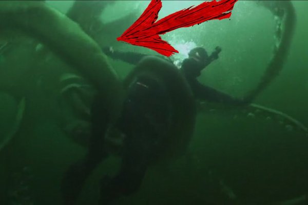 Как вывести деньги с kraken