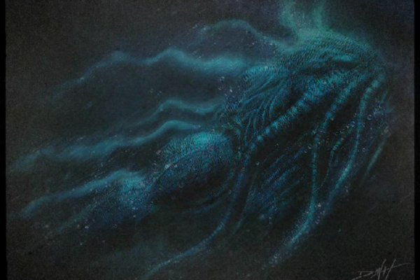 Kraken 12