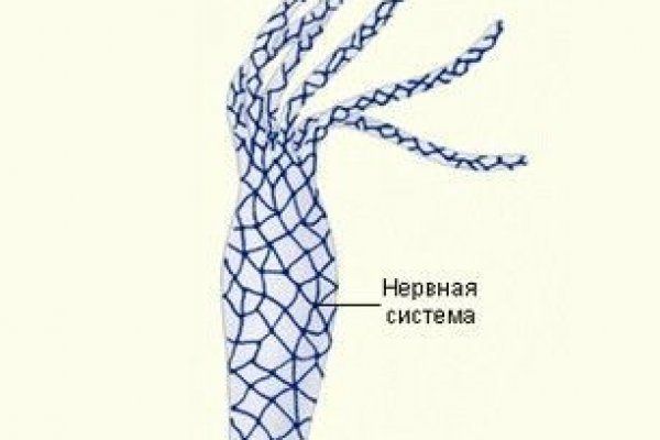 Кракен онион даркнет площадка