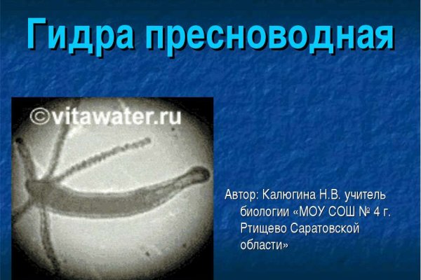 Ссылка кракен kraken torion net