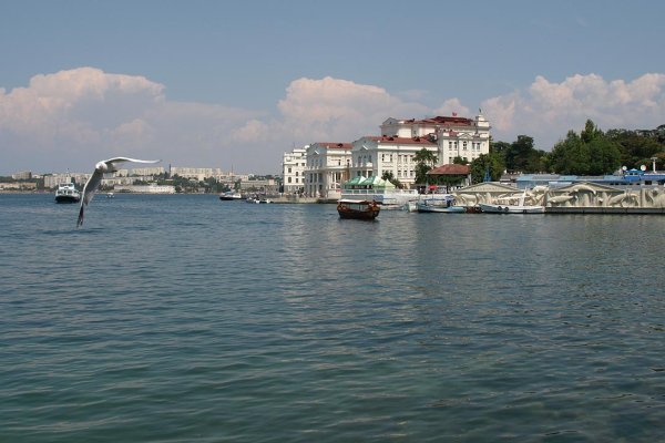 Ссылка в даркнет