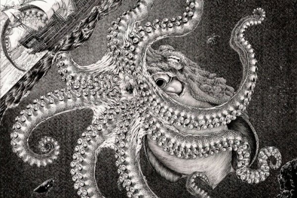 Kraken dark market