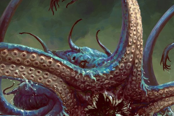Kraken 12 att